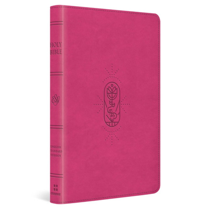 Work of the Family Lawyer (Aspen Casebook Series) by Robert E. Oliphant