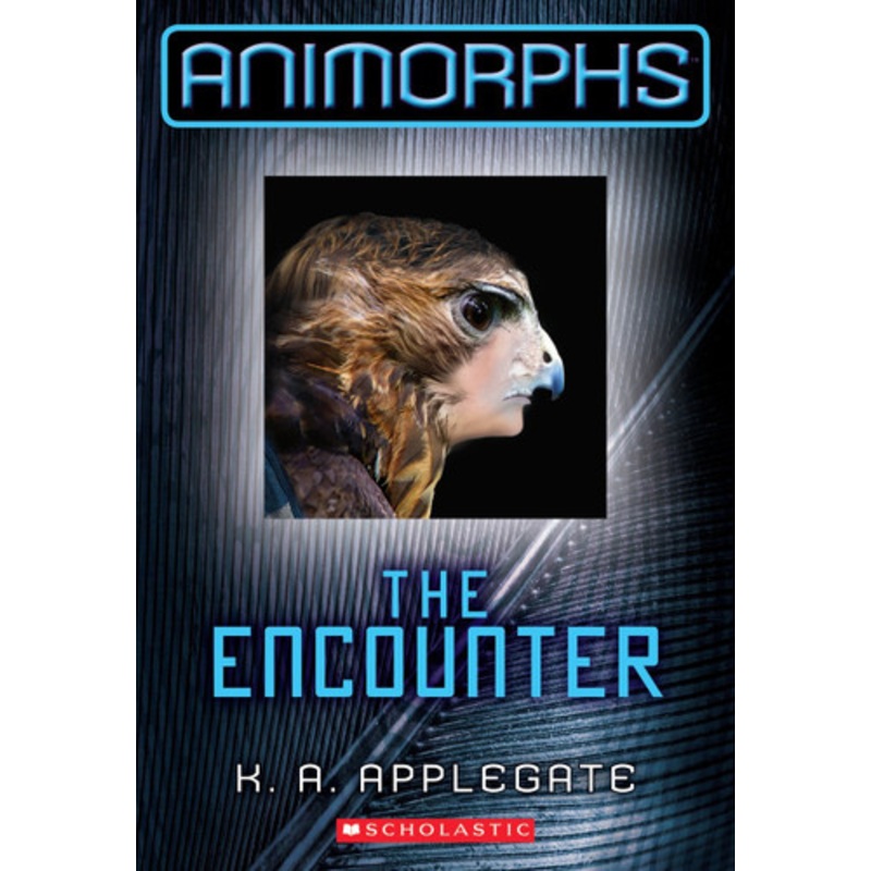 The Rohonc Codex: A Working Solution by Jason Edward Lee