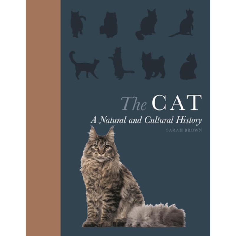 Animal Groups: Science Vocabulary Readers Set: Exciting Nonfiction Books That Build Kids' by Liza Charlesworth