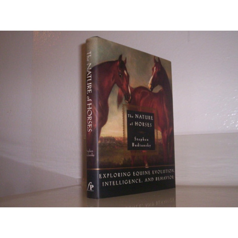 A Glenstal Childhood: O'Donovan's Daughter – The Story of Home by Jean O'Donovan