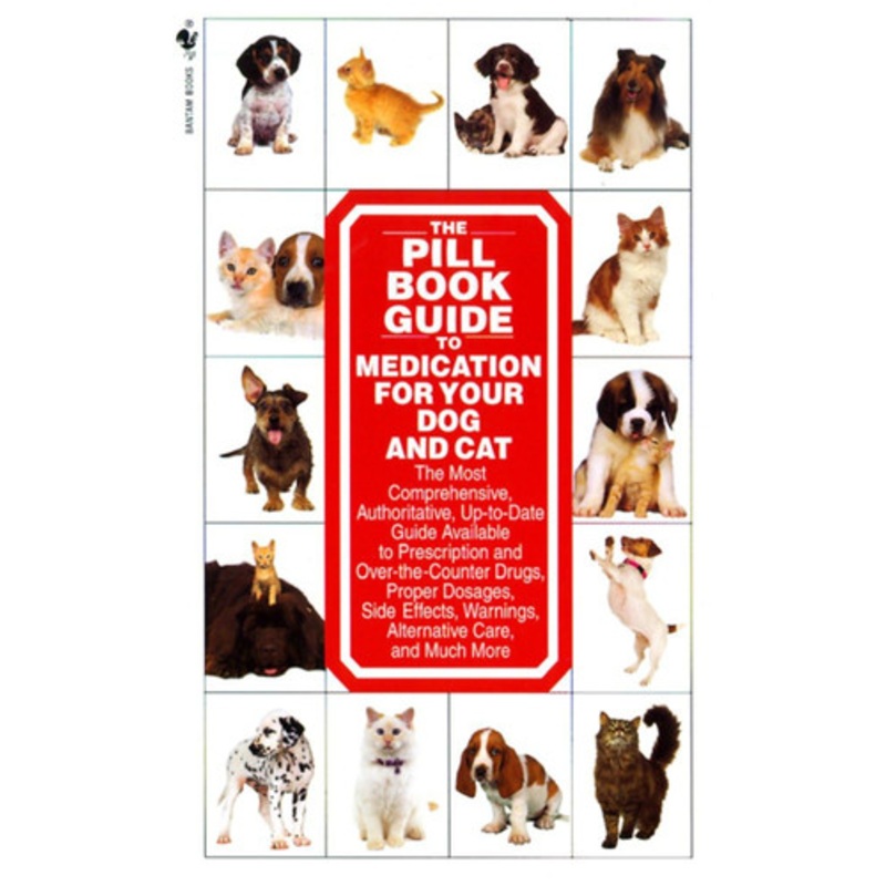 Alfred's Basic Piano Library Lesson Book Bk 4 (Alfred's Basic Piano Library Bk 4) by Willard A. Palmer